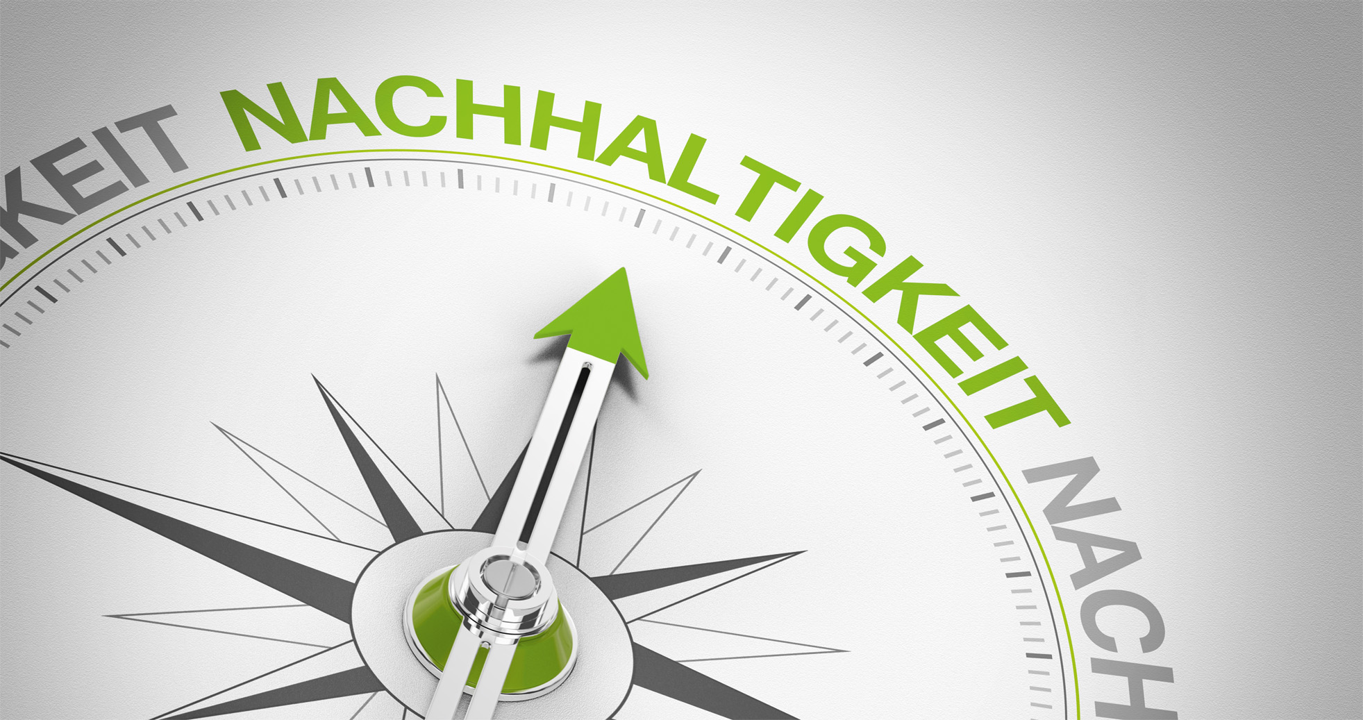 Sando_Trendverpackungen_Slider_Nachhaltigkeit
